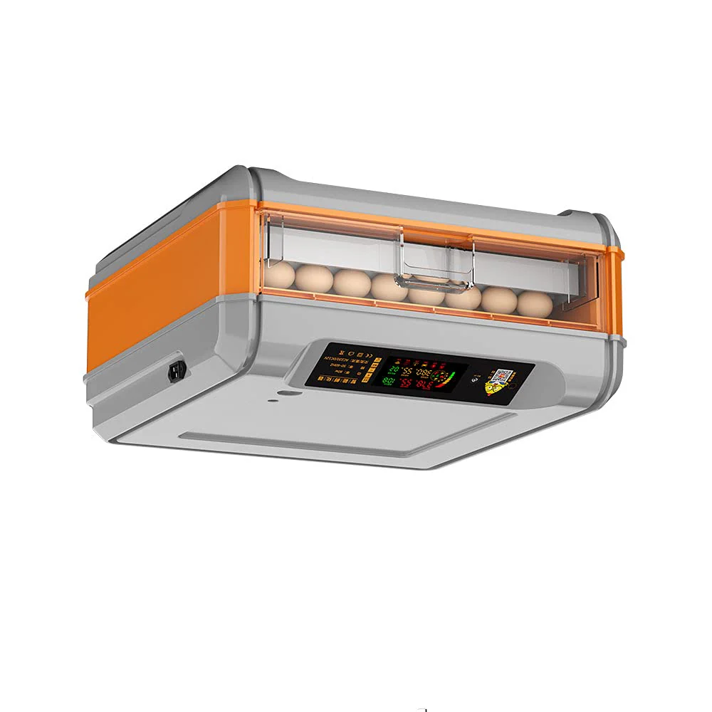 Kitchen Tools & Cookware